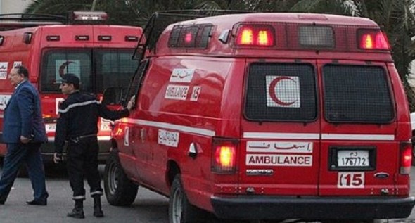 كلب ضال يتسبب في مقتل شخصين نواحي أكادير 1
