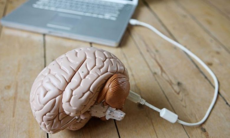 دراسة تكشف كيفية تخزين المخ البشري للمعلومات