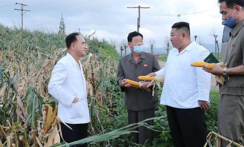 كوريا الشمالية تمنح الأولوية لتوفير الغذاء
